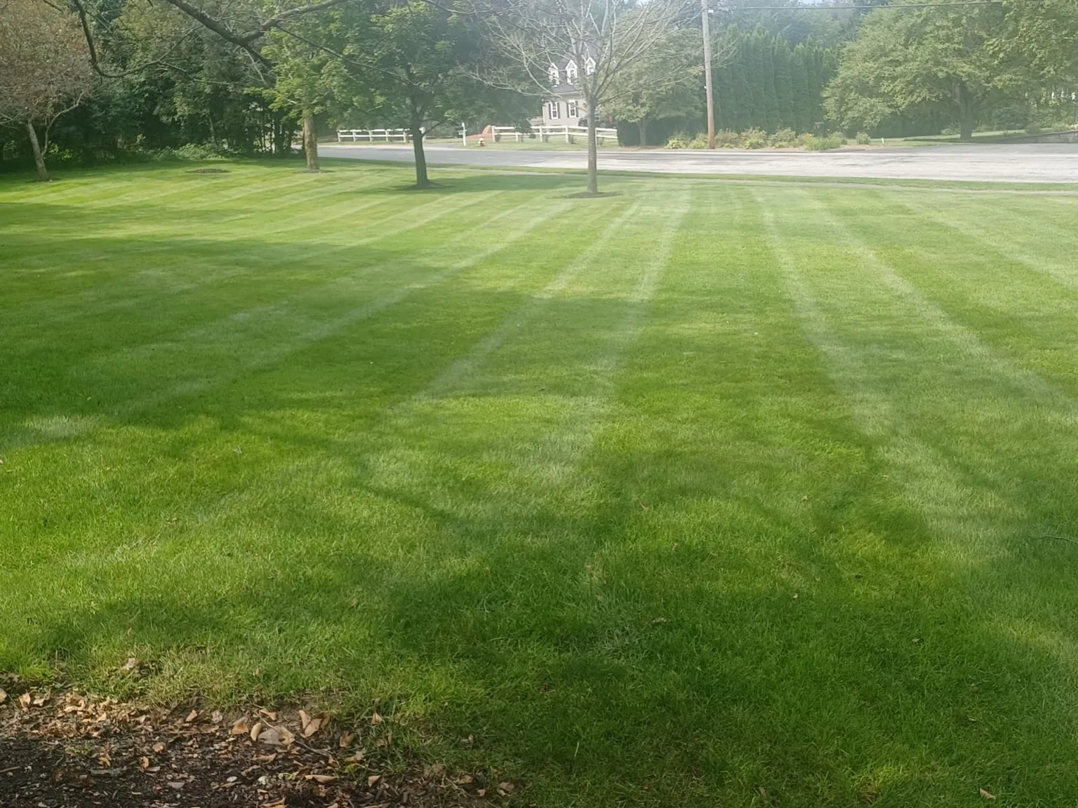 Freshly mowed lawn with clean stripes